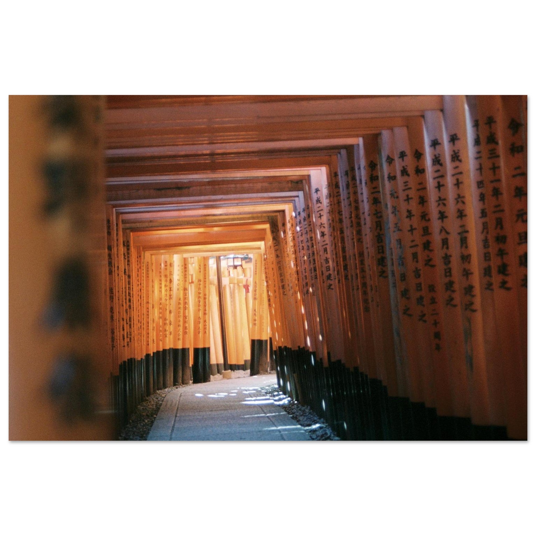 1a53e490-56db-42da-acfb-4dd6a2958e6e