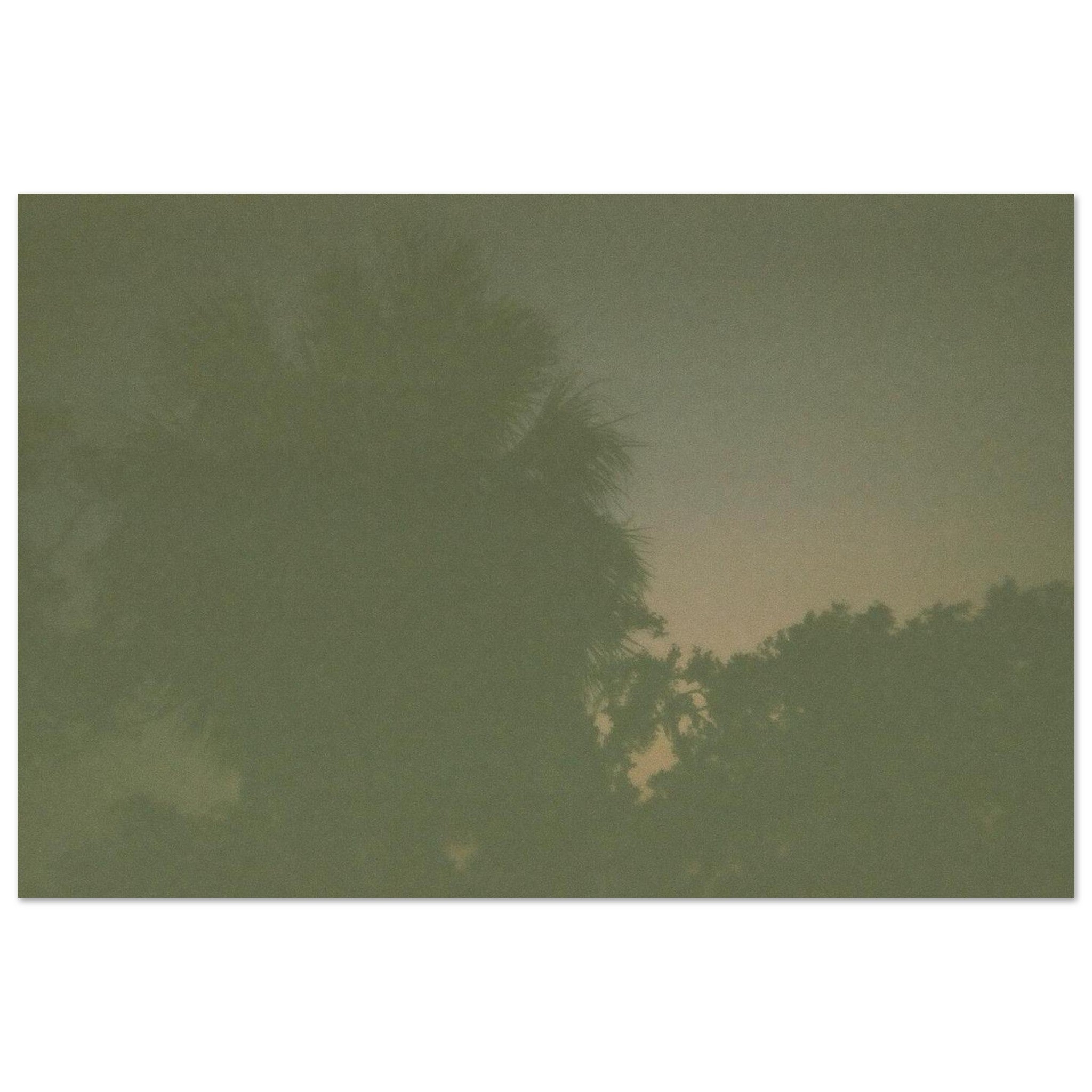 ca0e8a70-515b-4ccd-b101-c8c72f67ced8