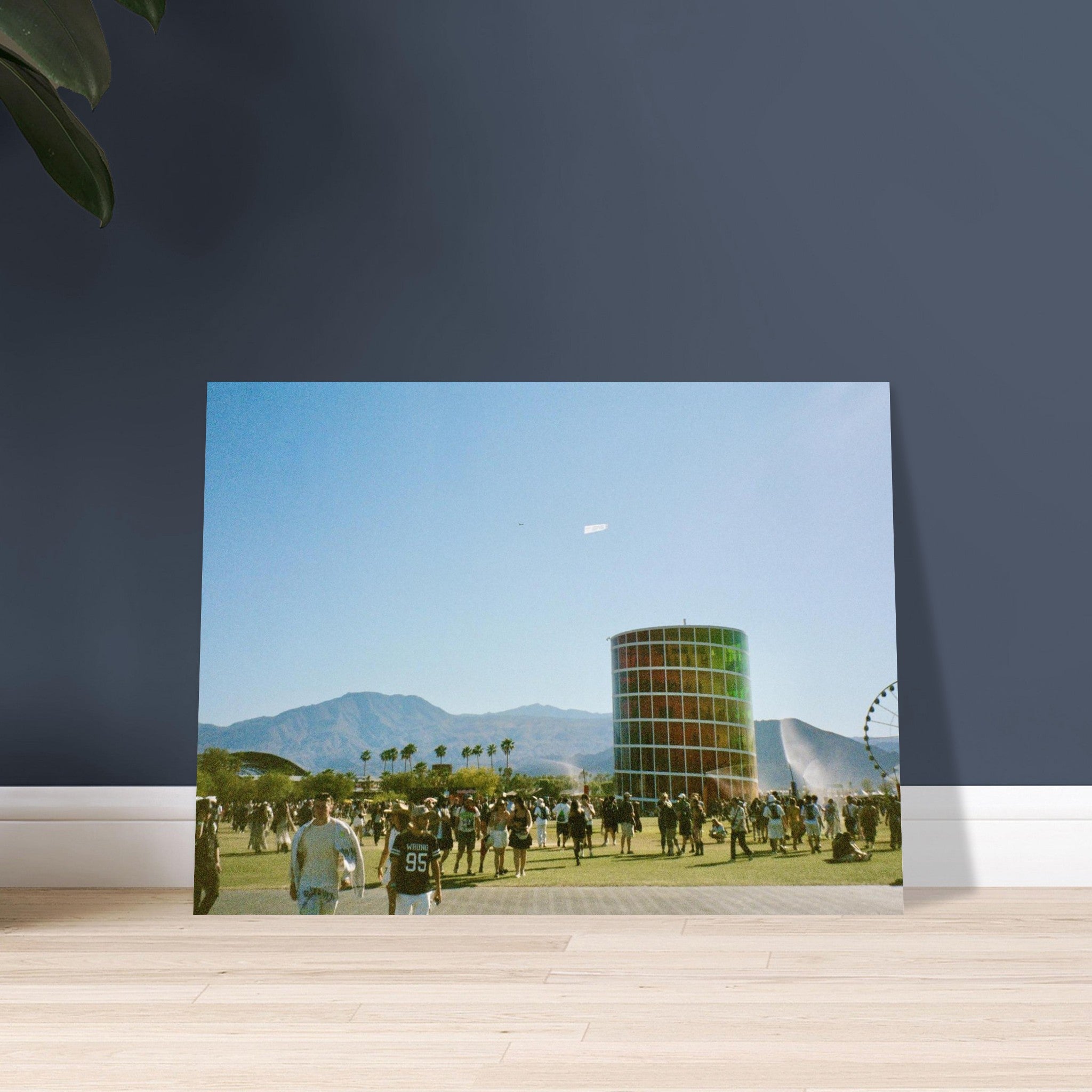 Film photograph of a sunny Coachella festival scene with palm trees and carnival structures